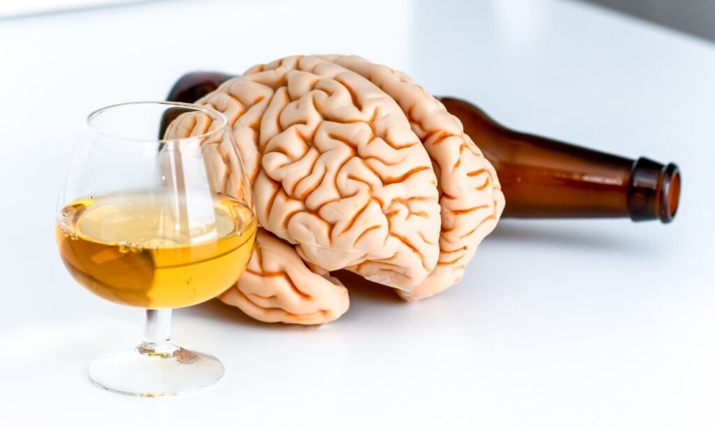 Consumo excessivo de álcool aumenta risco de hemorragias cerebrais na velhice, diz estudo